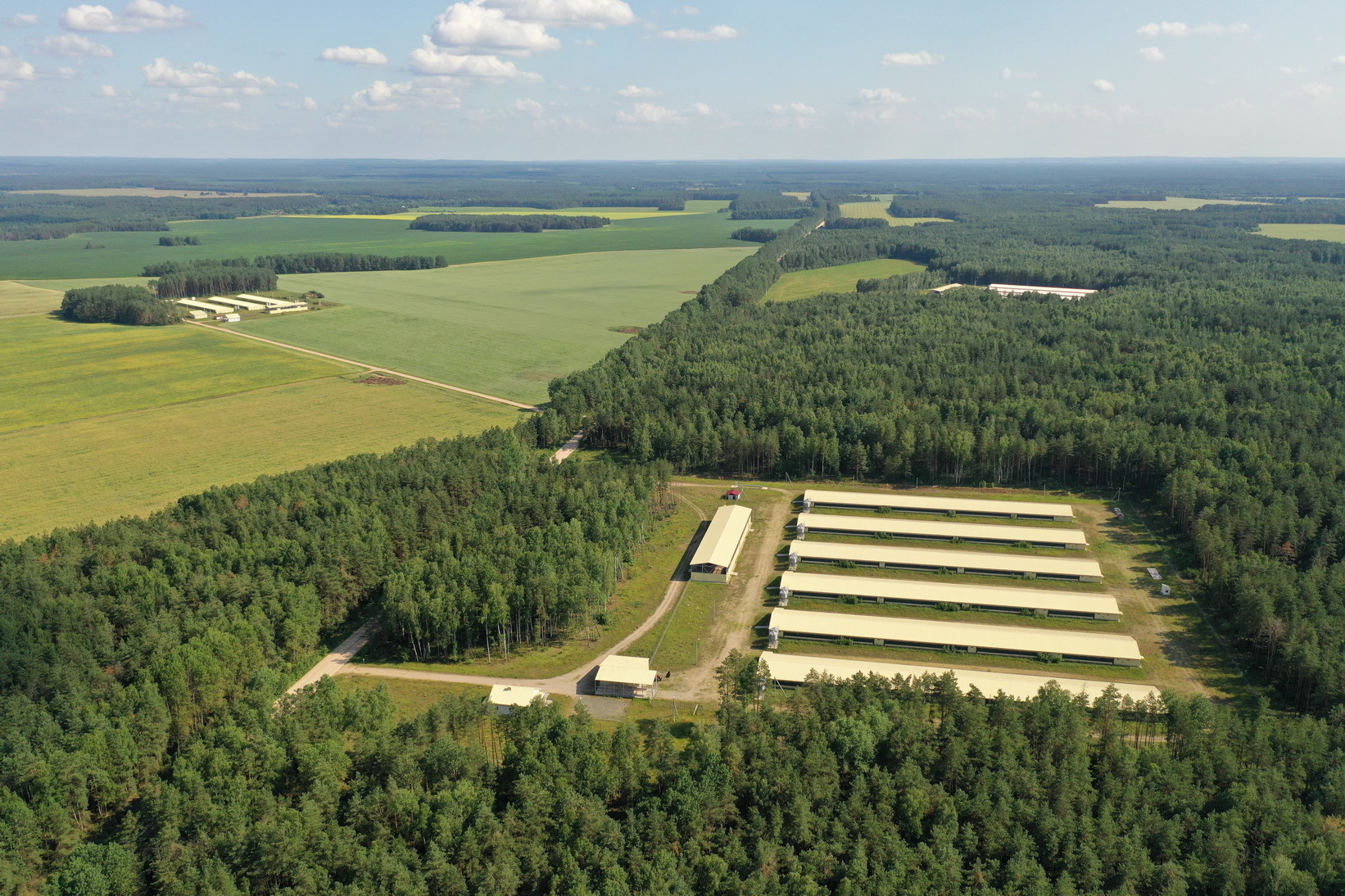 ЗАО «Белсалттрэйд»