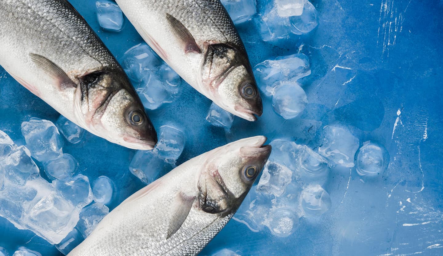 Предприятия по производству соленой рыбы и рыбных салатов